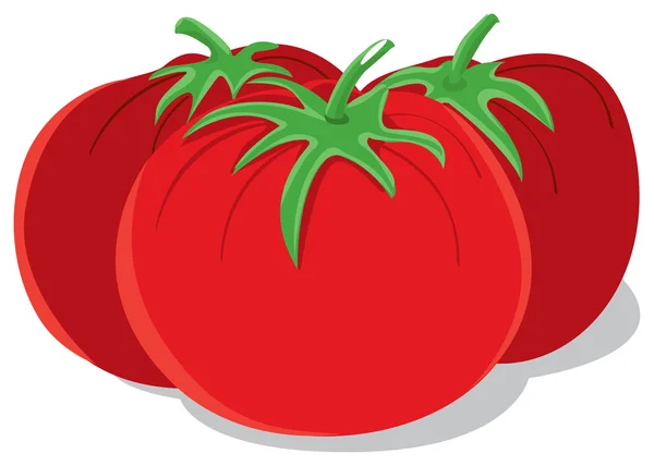 Tomates — Vector de stock