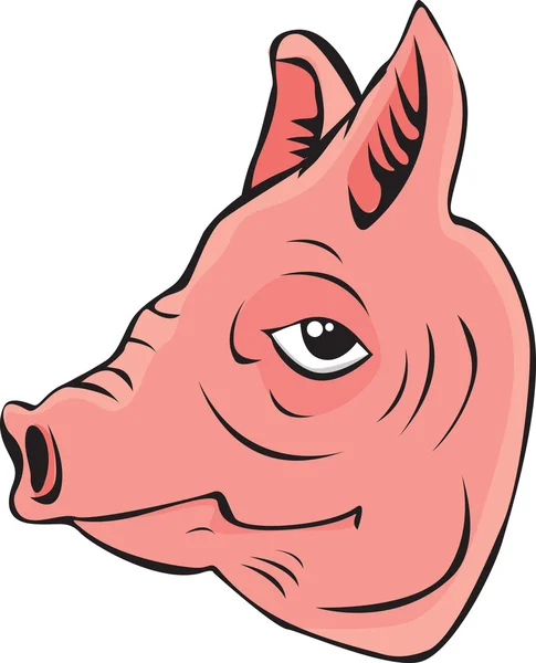 Schweinefleisch — Stockvektor