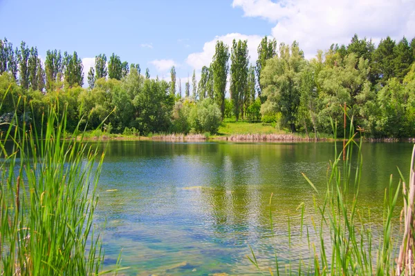 Paesaggio con un lago — Foto Stock