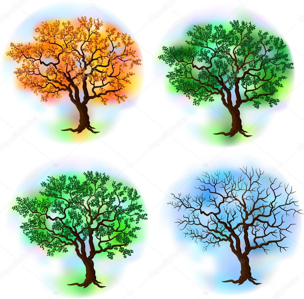 Four season trees