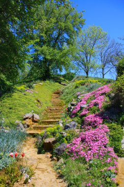 parkın içinden yolları