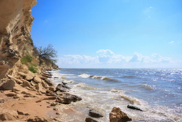 manzara vahşi deniz kıyısı