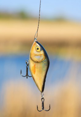 Plastic fishing lure (wobbler) clipart