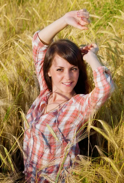 Půvabná brunetka v poli — Stock fotografie