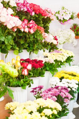 Photos of flowers in pots in a flower shop clipart