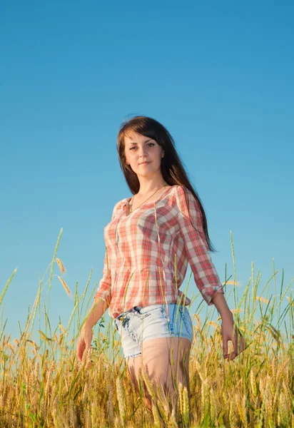 Ładna brunetka w polu — Zdjęcie stockowe