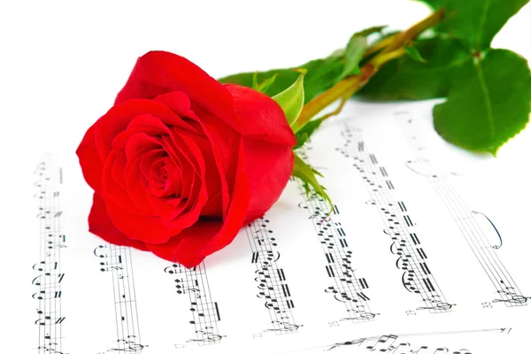 Rose and music sheets — Stock Photo, Image