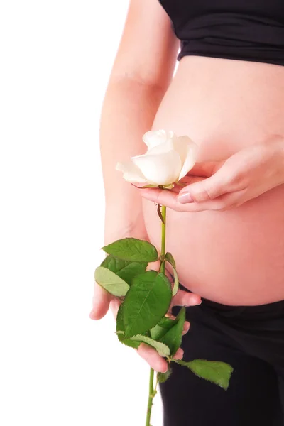 Barriga e flor grávidas — Fotografia de Stock