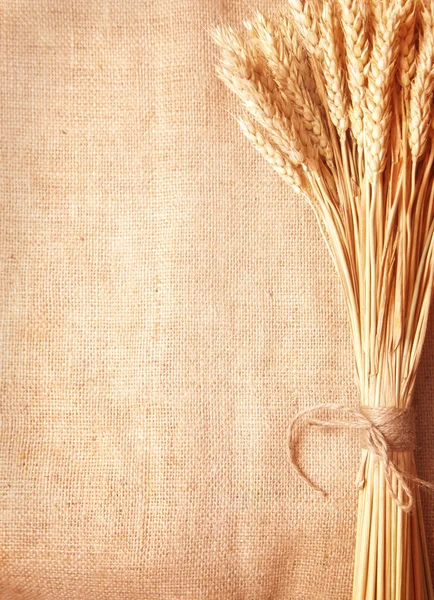 Περίγραμμα αυτιά σιταριού στο φόντο λινάτσα — Φωτογραφία Αρχείου