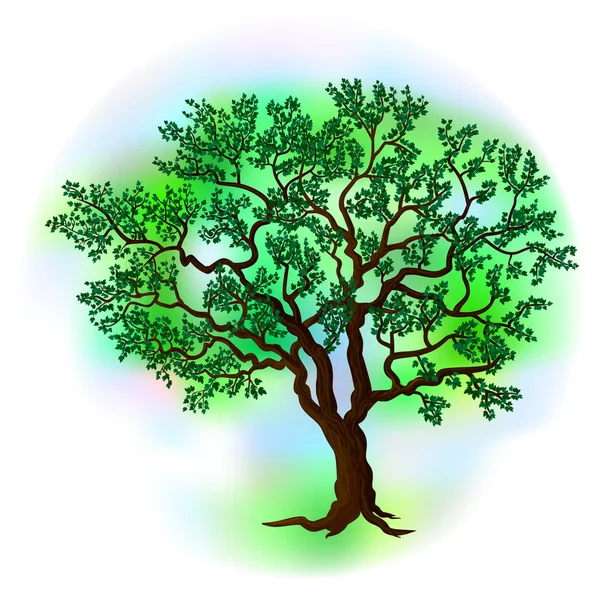 Vector árbol de verano — Vector de stock