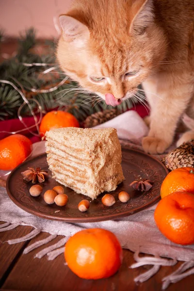 Ginger Cat Mesa Cerca Delicioso Pastel Miel Hora Las Vacaciones — Foto de Stock