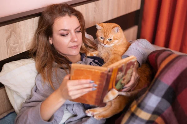 Una Joven Gato Rojo Están Leyendo Libro Cama Foto Alta —  Fotos de Stock