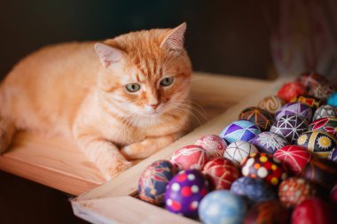 Evde kırmızı kedi ve masada paskalya yumurtası. Paskalya tatili.