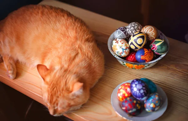 テーブルの上に赤い猫とイースターエッグが置いてあります イースター休暇 — ストック写真