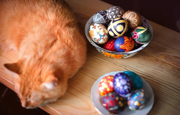 テーブルの上に赤い猫とイースターエッグが置いてあります イースター休暇 — ストック写真