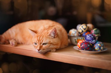 Evde kırmızı kedi ve masada paskalya yumurtası.