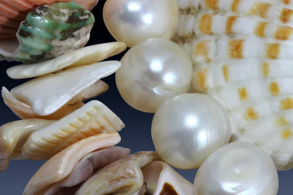 真珠とシンクの軟体動物からマクロ ネックレス — ストック写真