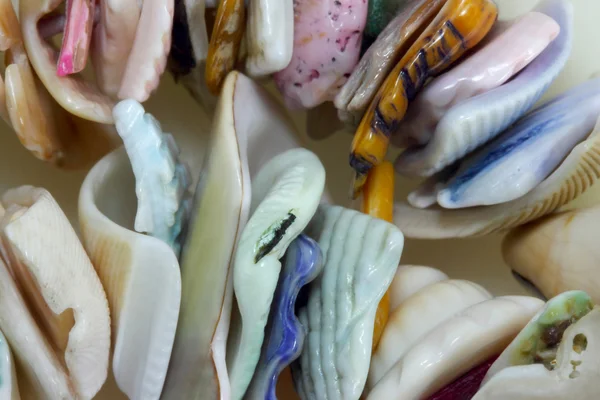 Color slices of sinks of mollusks — Stock Photo, Image
