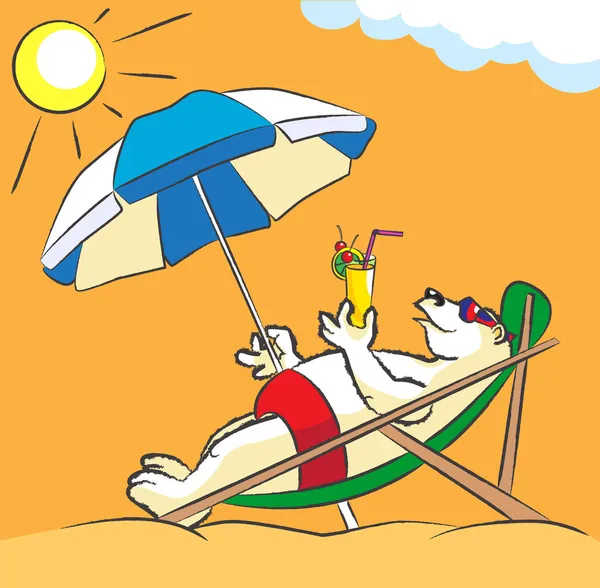 beyaz ayı bir plajda