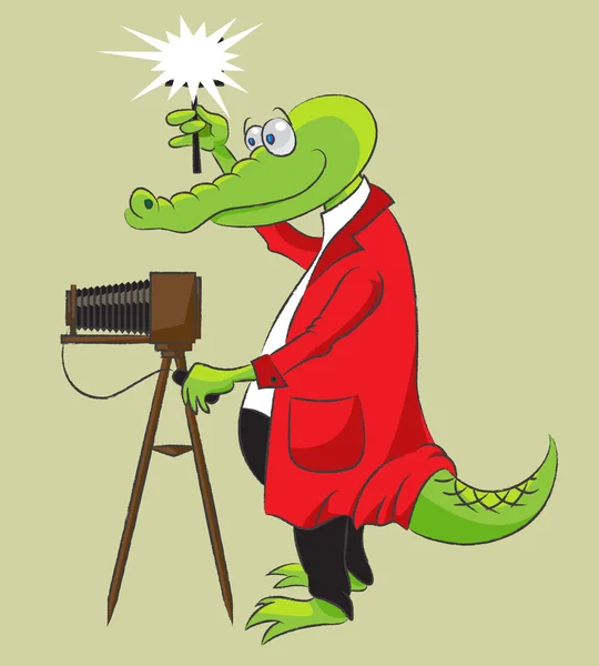 Timsah-fotoğrafçı