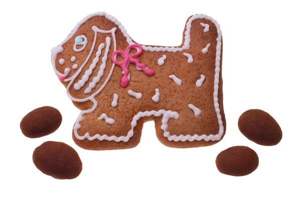 Gingerbread doggie — Stock Photo, Image