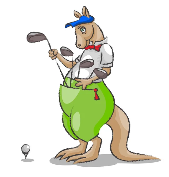 Kangourou et golf — Image vectorielle