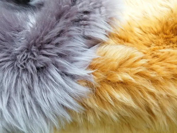 Piel Artificial Textura Piel Amarillo Púrpura —  Fotos de Stock