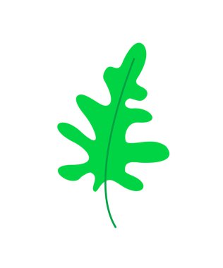 Arugula yaprağı. Ağaç yaprağı izole. Bitki örtüsü. bitki - beyaz arkaplanda izole edilmiş renk vektör çizimi. bitki tasarımı ögesi