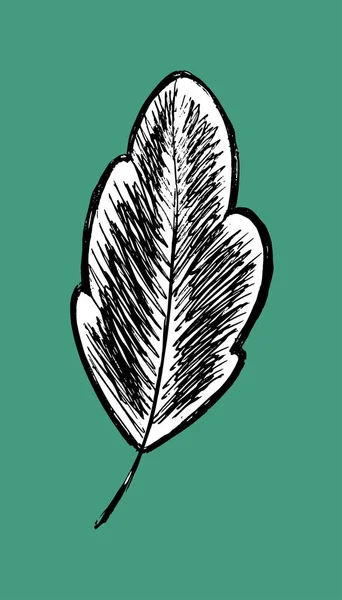 Λογότυπο Σκίτσο Φύλλων Απομόνωση Φύλλων Δένδρου Δέντρο Στυλιζαρισμένο Διανυσματική Απεικόνιση — Διανυσματικό Αρχείο