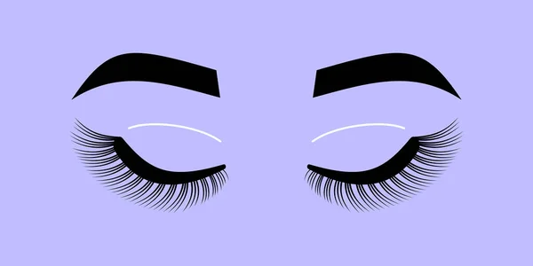 Female Eyes Look Eyelashes Eyebrows Makeup Vector Illustration Isolated White — Stock Vector
