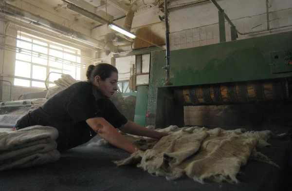 Beyaz Rusya'nın smilovichi keçe fabrika. smilovichi keçe fabrika 1928 yılında kurulmuştur ve soğuk hava koşulları için keçe çizmeler üretir. botları 