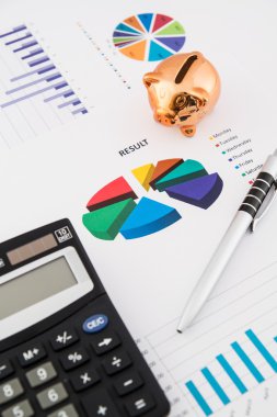 Money savings concept: charts, calculator, pen, pig clipart