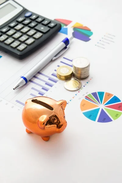 Conceito de poupança de dinheiro: gráficos, calculadora, caneta, porco, moedas — Fotografia de Stock