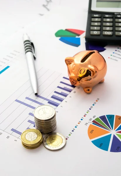 Conceito de poupança de dinheiro: gráficos, calculadora, caneta, porco, moedas — Fotografia de Stock