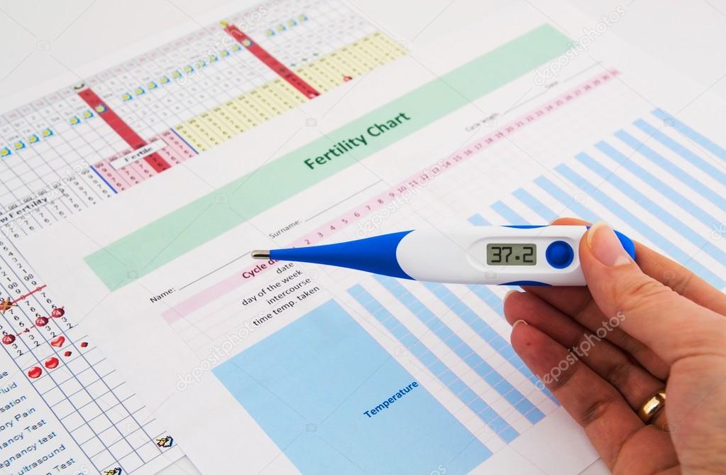 Electronic thermometer in woman hand. Fertility concept