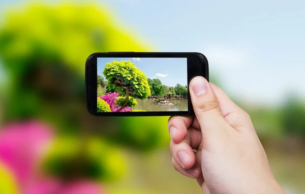 Teléfono inteligente con vista al jardín japonés en pantalla — Foto de Stock