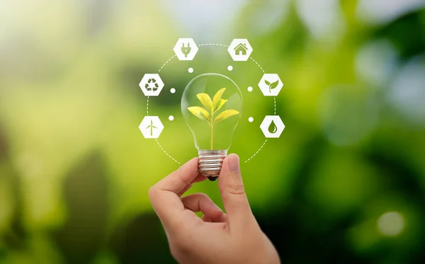 Förnybara Energikällor Hållbarhet Energieffektivitet Energikriskoncept — Stockfoto