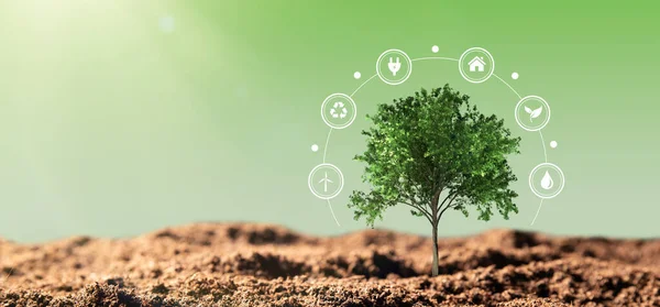 Tree grows in the ground, computer graphics with icons. Renewable energy and ecology concept