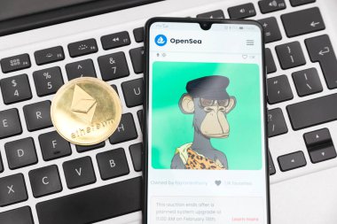 Wroclaw, Polonya - 10 Şubat 2022: Açık Deniz NFT karşılanamaz marka pazar. Dijital koleksiyonlara kripto para yatırımı