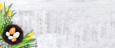Paskalya yumurtaları ve bahar çiçekleri arka plan. Kopya alanı ile Üstten Görünüm.