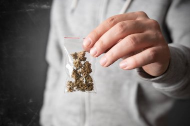 Esrarlı fermuar çantası. Yasadışı marihuana çantası olan adam.