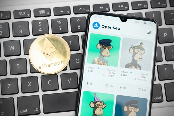 Wroclaw, Polonya - 10 Şubat 2022: Açık Deniz NFT karşılanamaz marka pazar. Dijital koleksiyonlara kripto para yatırımı