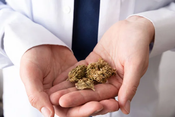 Doctor Con Cáñamo Aceite Cannabis Clínica Médica Con Tratamiento Neurológico — Foto de Stock