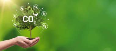 Karbon ayak izi, sürdürülebilir enerji kaynakları kavramı.