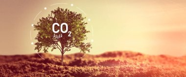 Karbondioksit, CO2 emisyonları, karbon ayak izi konsepti