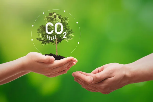Koldioxidavtryck Hållbara Energikällor Med Träd Hand — Stockfoto
