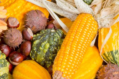 sonbahar dekorasyonu