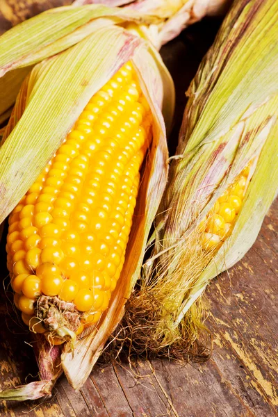 Mazorcas de maíz sobre madera —  Fotos de Stock