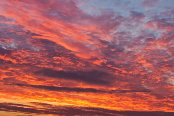 Sunrise in the morning — Stock Photo, Image