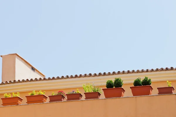 Balcony with plants — Stock Photo, Image